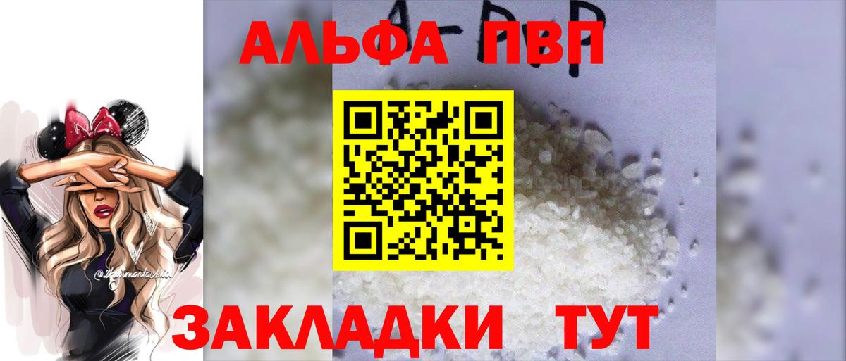 A PVP СК КРИС Воронеж