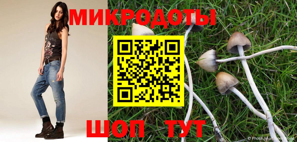Псилоцибиновые грибы GOLDEN TEACHER Воронеж