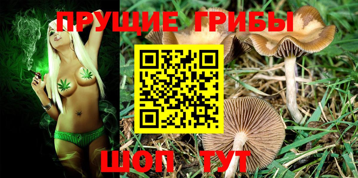 купить   Галлюциногенные грибы Psilocybe  Вход с VPN  Воронеж 